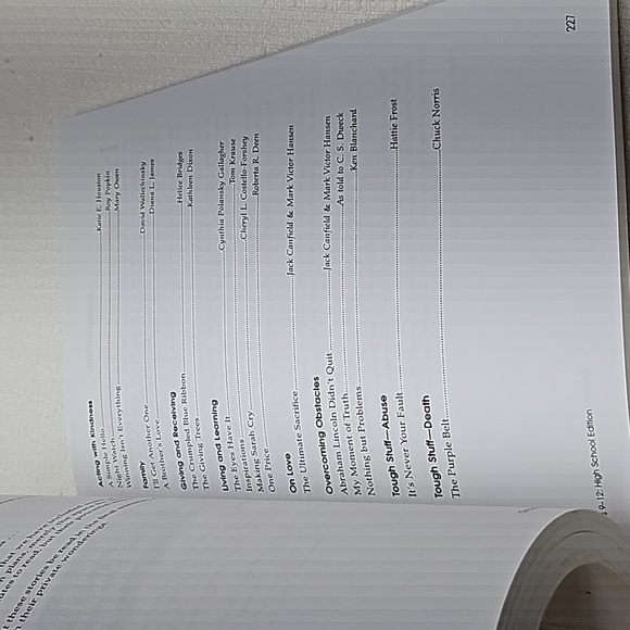 Chicken Soup for the Soul in the Classroom, Lesson Plan - Picture 8 of 11